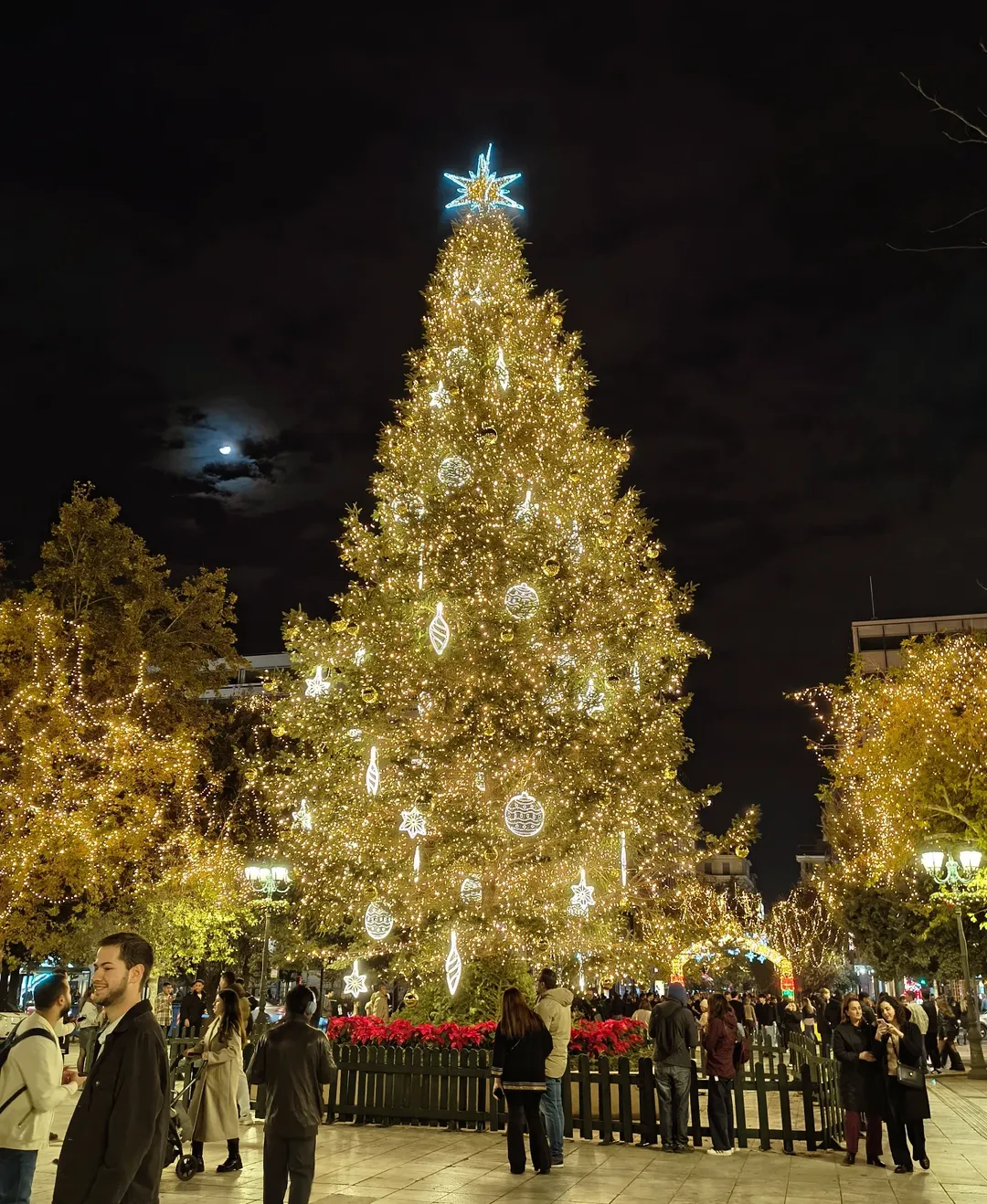 SnapInsta Ai 3778215084296819617