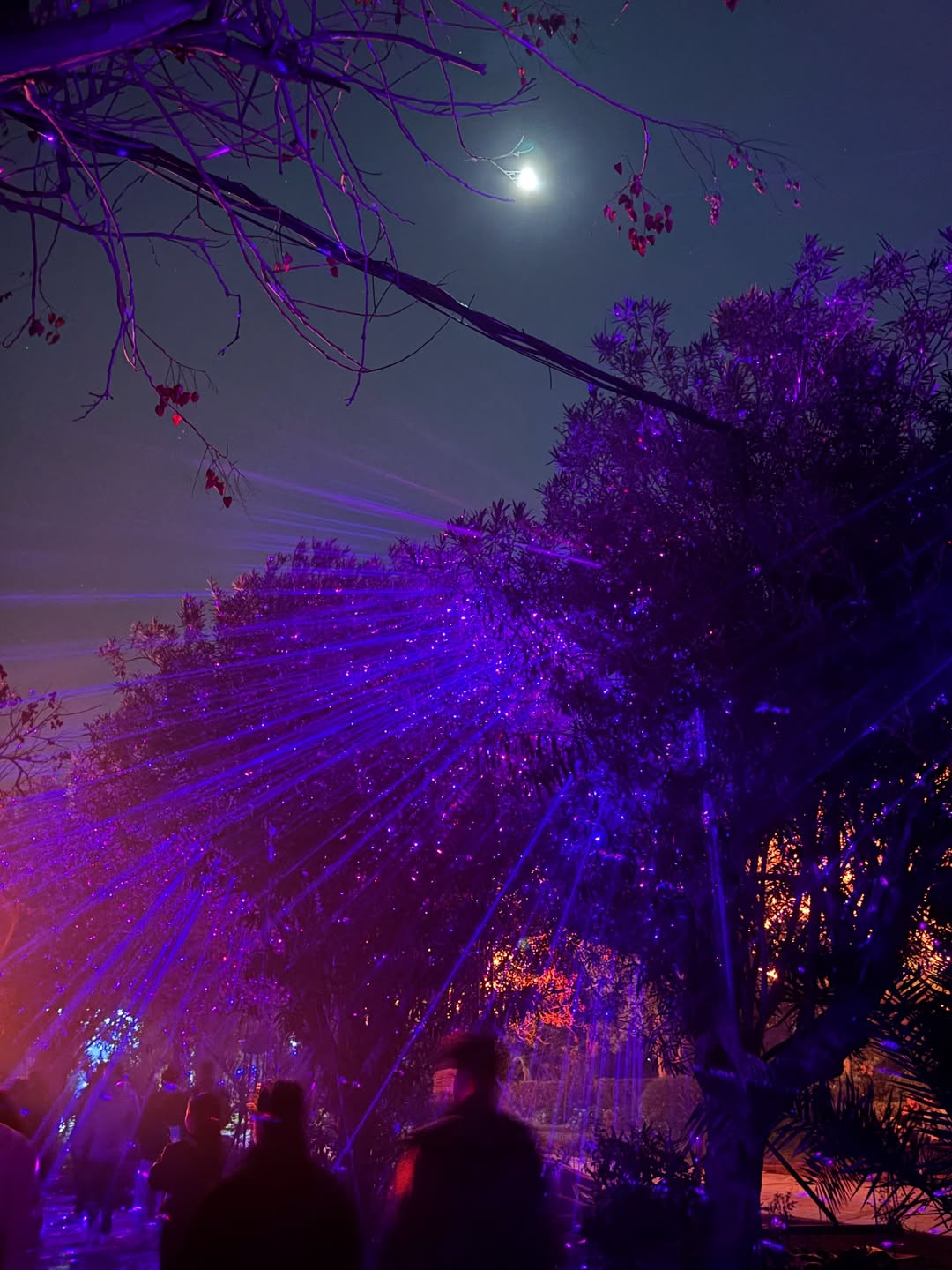 SnapInsta.to 587816879 17933710005129295 3634751184443132814 n