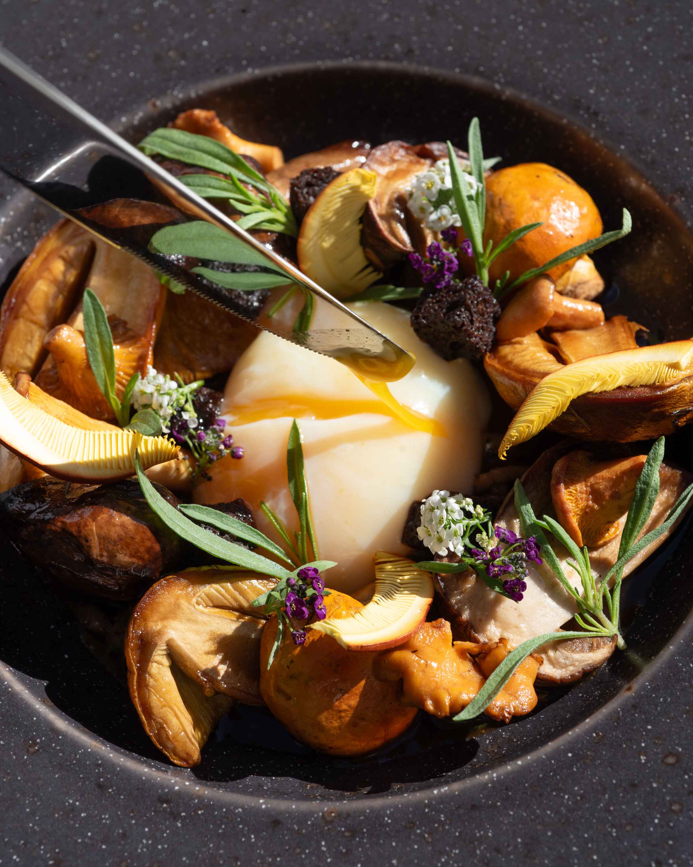 9. Seasonal Mushrooms 2