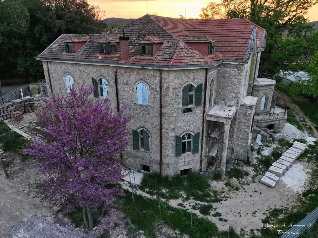 SnapInsta Ai 3347379201427669081