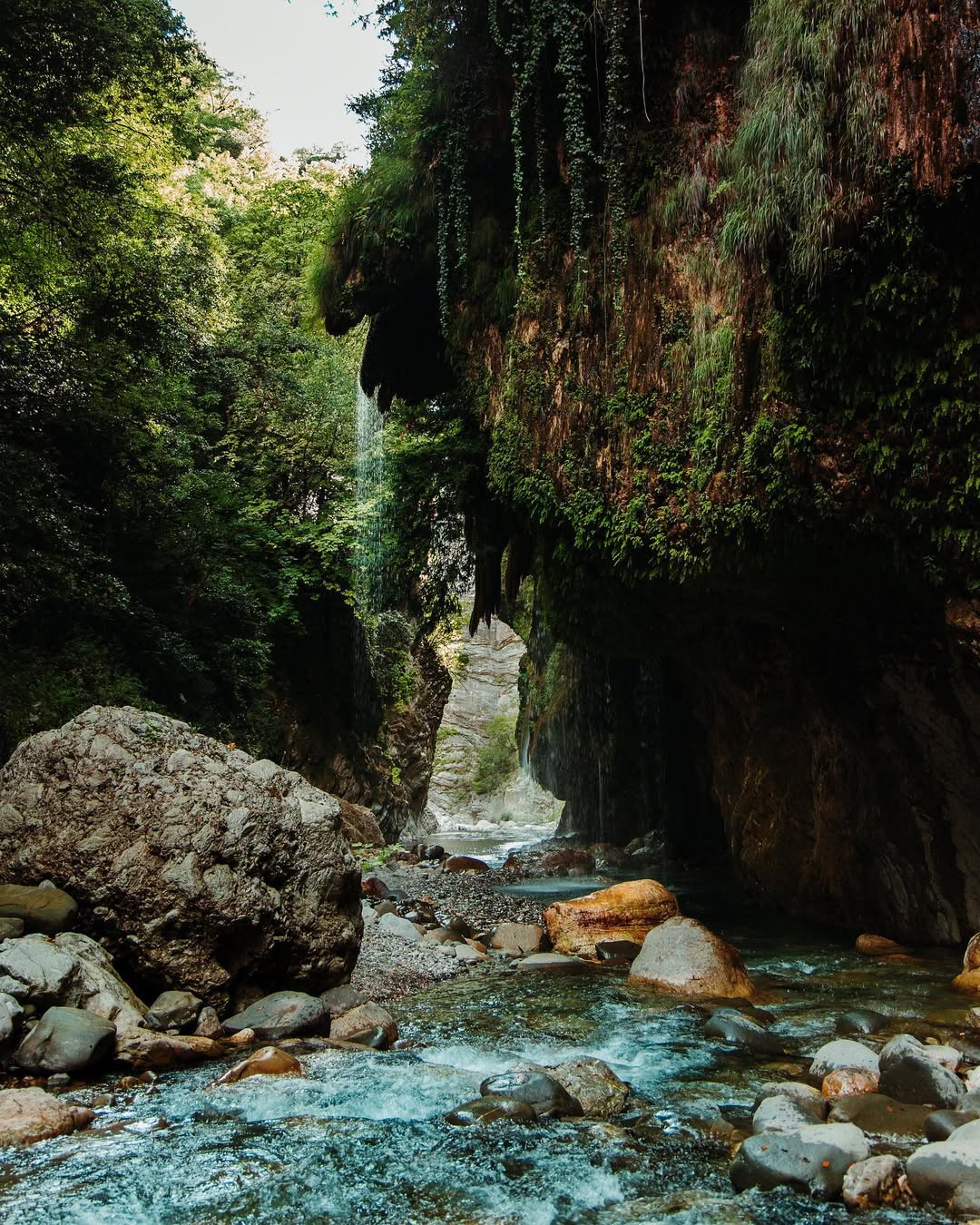 SnapInsta.to 375071683 1765386367251173 3274207811749499258 n