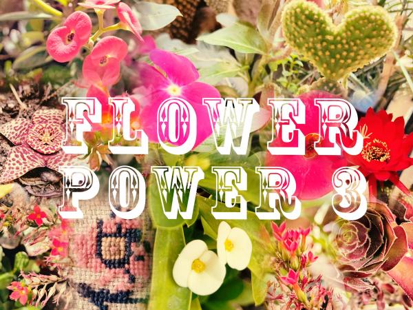 Flower Power 3 Group Exhibition At FokiaNou Art Space