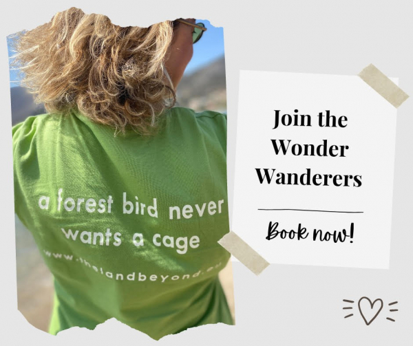 The Wonder Wanderers Retreat