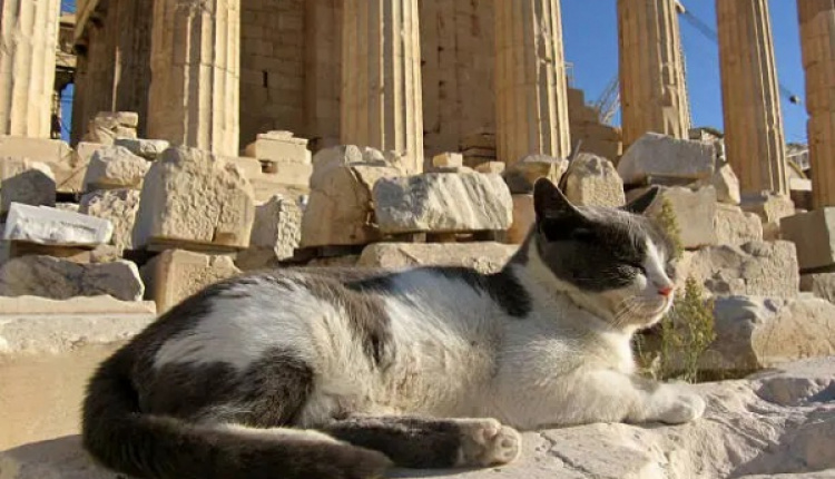 Spend The Coziest Day In Athens
