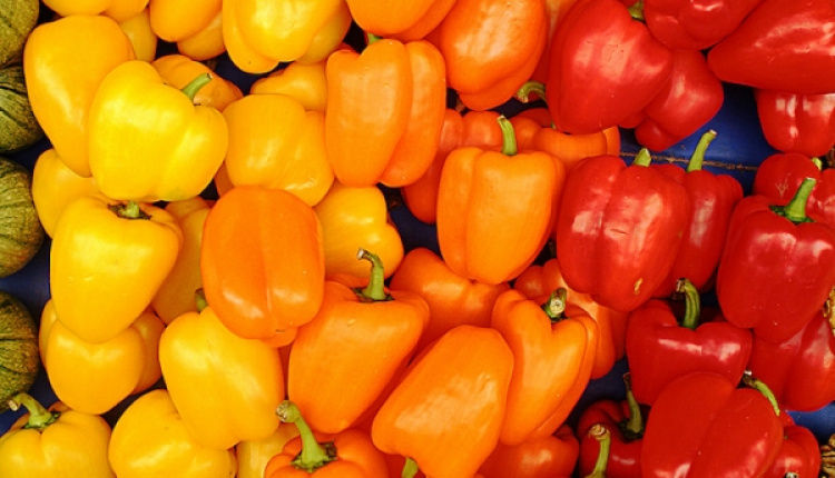 Greek Farmer's Markets